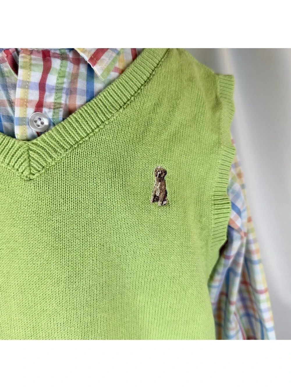 greendog product lime